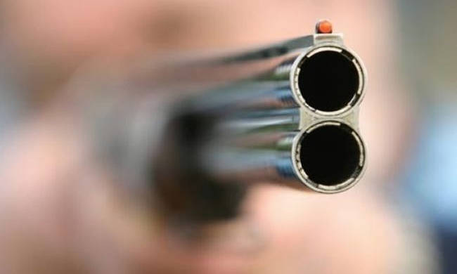 Πυροβολισμοί στην Ηλεία: Τραυμάτισε με καραμπίνα τον αδερφό του - Media