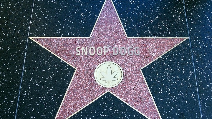 Το δικό του αστέρι στη Λεωφόρο της Δόξας αποκτά ο ράπερ Snoop Dogg - Media