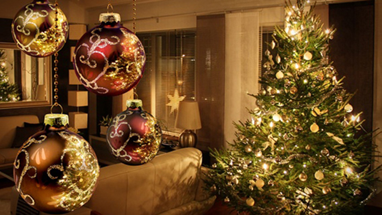 Μέχρι και 25.000 ζωύφια έχει κάθε χριστουγεννιάτικο δέντρο που βάζουμε σπίτι! - Media