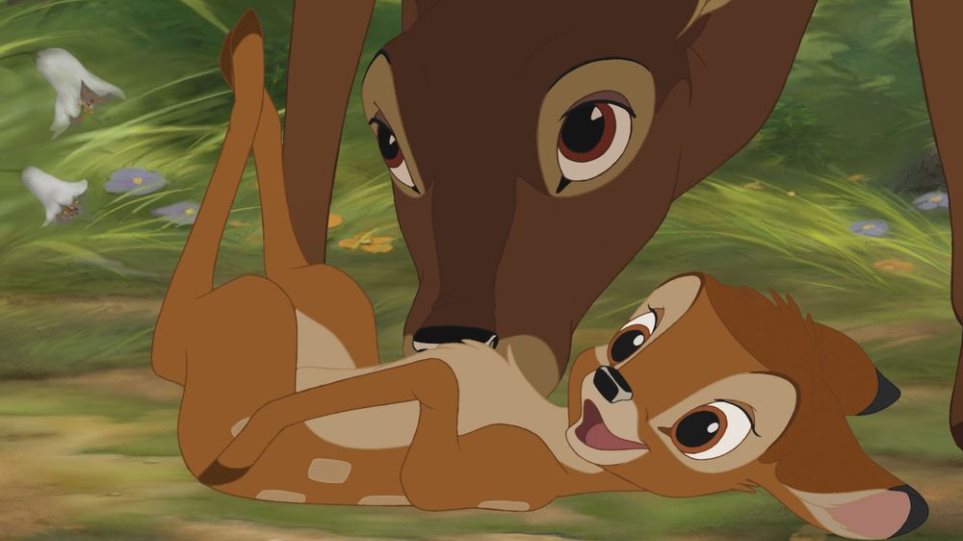 Λαθροκυνηγός καταδικάστηκε να παρακολουθεί την ταινία «Μπάμπι το ελαφάκι» κατά τη διάρκεια της φυλάκισής του - Media