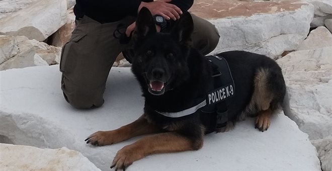 Η Αστυνομία αποχαιρετά αλλά δεν ξεχνά τον σκύλο Τζάκι - Media