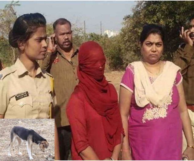 Του έκοψε τον… ανδρισμό του και το τάισε σε σκύλο επειδή την παρενοχλούσε σεξουαλικά - Media