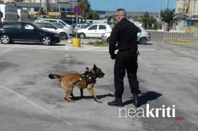 Τραυματίστηκε, εν ώρα υπηρεσίας, η Μίσα, το σκυλί - καμάρι του Λιμενικού Σώματος της Κρήτης - Media