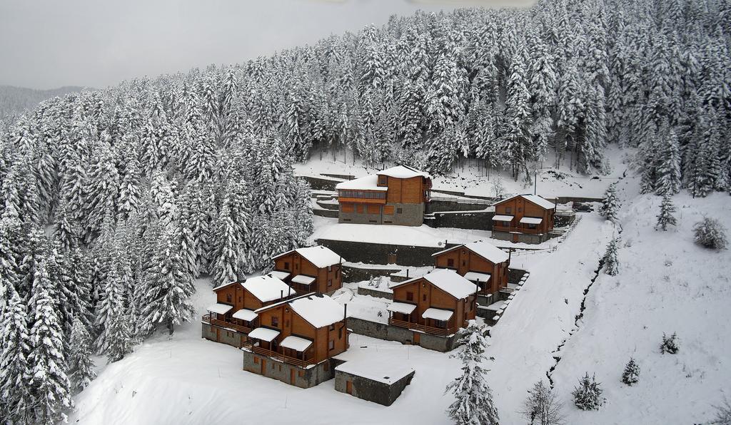 «Πολικό ψύχος» στο Περτούλι: Στους -8 °C ο υδράργυρος και το χιόνι έφτασε τους 80 πόντους - Media