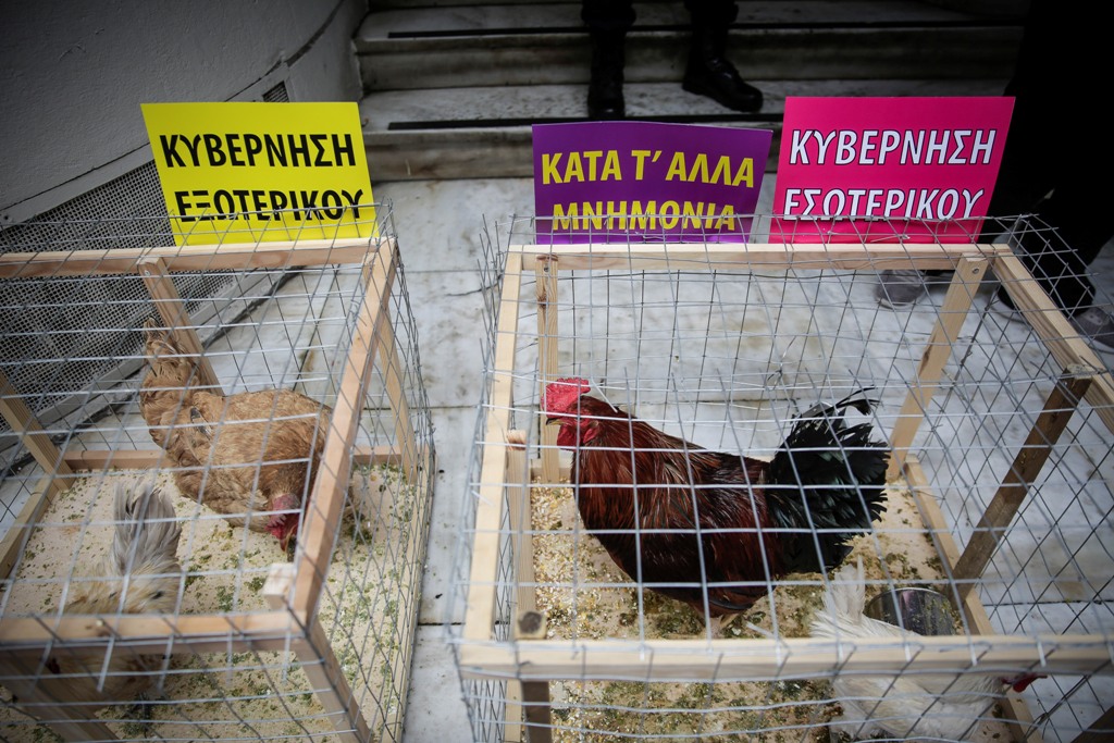 Διαμαρτυρία της ΠΟΕΔΗΝ με... κότες και κοκόρια έξω από το υπ. Υγείας (Photo) - Media