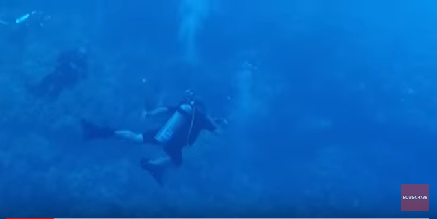Στα σαγόνια του καρχαρία Γερμανός δύτης (σοκαριστικό βίντεο) - Media