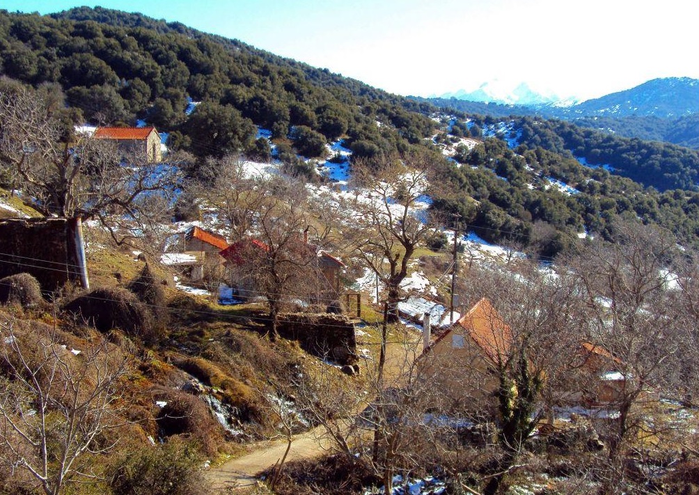 Το χωριό «φάντασμα» δίπλα στην Πάτρα -  Είχε δεκάδες κατοίκους τον προηγούμενο αιώνα και τώρα κανέναν (Photos) - Media