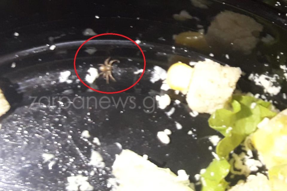 Πλημμύρισε η κοιλάδα του Αλφειού - Συναγερμός στην παραποτάμια ζώνη - Media