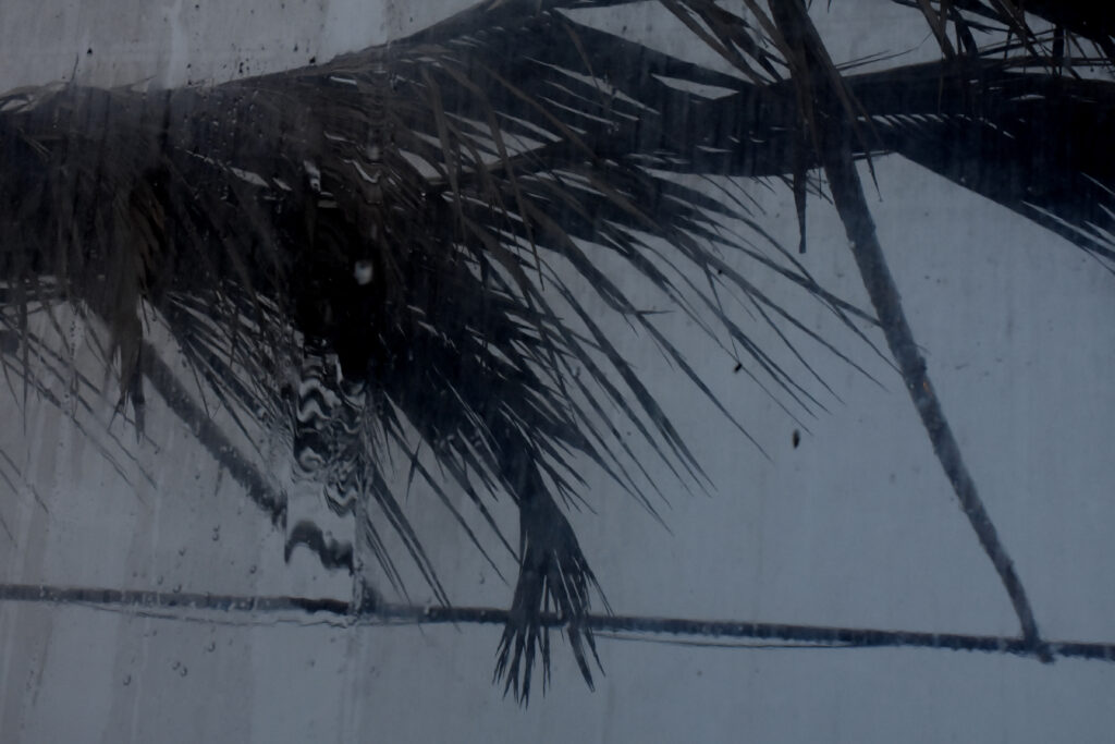 Συνεχίζεται η κακοκαιρία με βροχές και καταιγίδες - Media