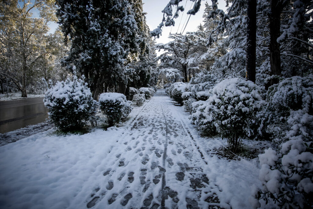 Αυτό το μαγευτικό χιονισμένο δάσος δεν είναι στα Τζουμέρκα αλλά στην Καισαριανή! (Photos) - Media Gallery 2