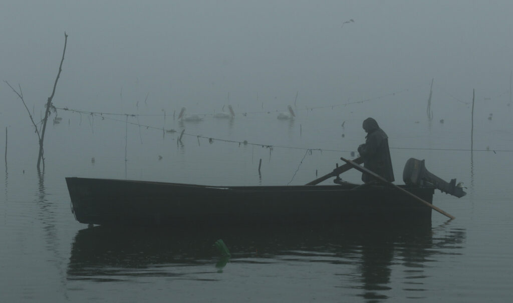 «Αγγελοπουλικές» εικόνες στη λίμνη Κερκίνη - Φωτογραφίες ψαράδων στο υποβλητικό βαλκανικό τοπίο - Media