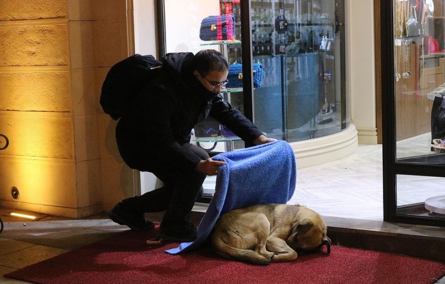 Ο Τούρκος που κάθε βράδυ σκεπάζει με κουβέρτες τα αδέσποτα της Κωνσταντινούπολης (Photos)  - Media