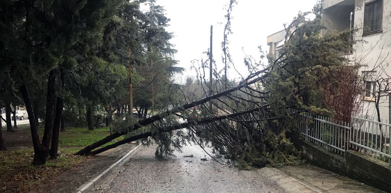 Διακοπές ρεύματος και απαγορευτικό απόπλου στην Καβάλα εξαιτίας του «Φοίβου» - Media