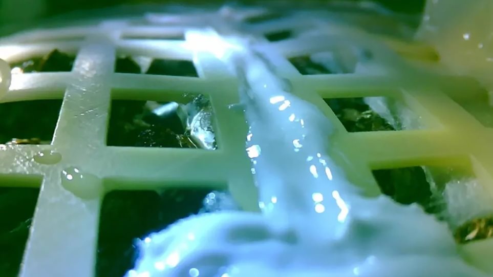 Δεν τα κατάφερε ο κινεζικός σπόρος βαμβακιού στη Σελήνη (video) - Media