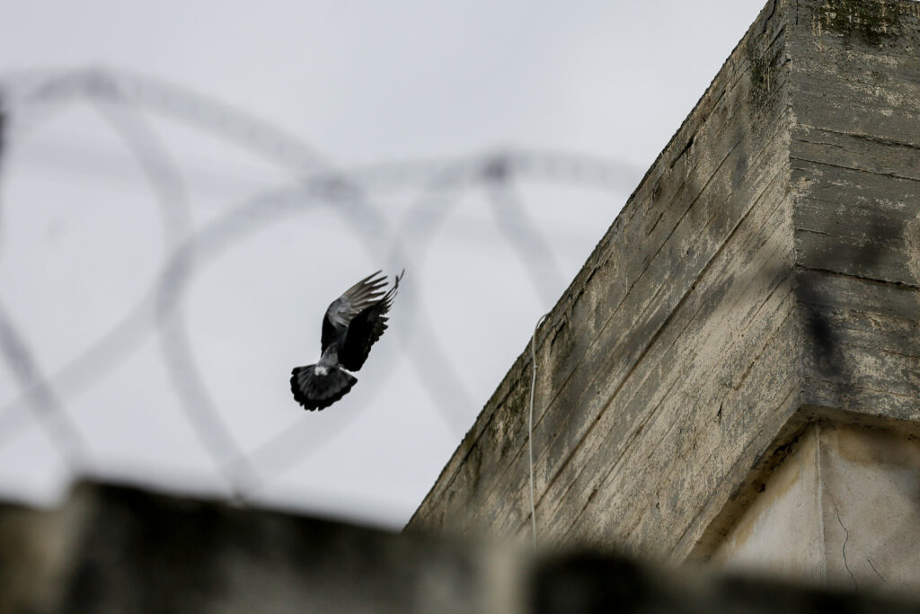Κρατούμενες Κορυδαλλού για κορονοϊό: Αποσυμφόρηση τώρα για να μη θρηνήσουμε νεκρούς - Media