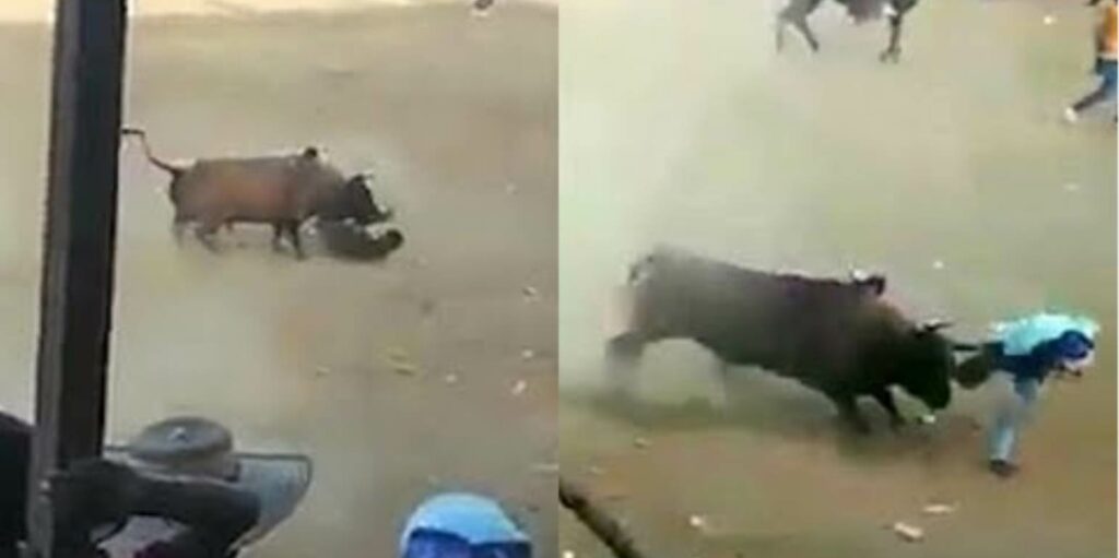 Μαινόμενος ταύρος τρύπησε νεαρό και τραυμάτισε άλλους τριάντα (Σκληρό Video) - Media