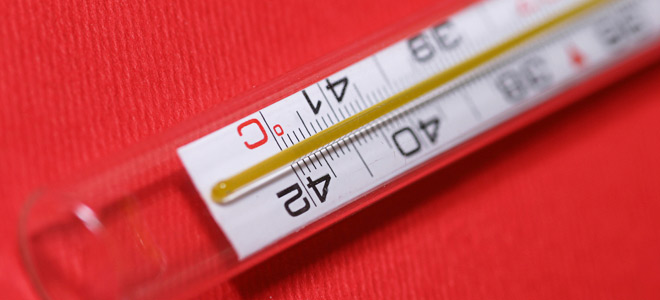 Συναγερμός στη Μυτιλήνη: Κρούσματα καταρροϊκού πυρετού – Ποια είναι τα συμπτώματα - Media