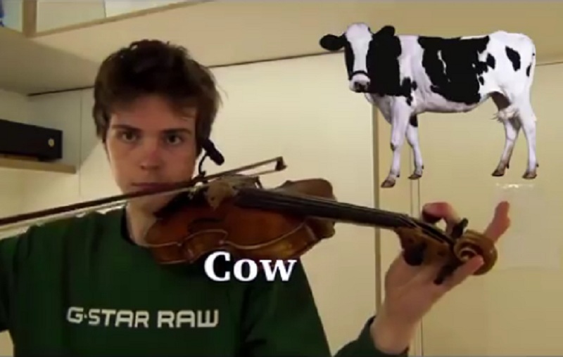 Εκπληκτικό βίντεο: Με το βιολί του κάνει ήχους από όλα τα ζώα (Video)  - Media