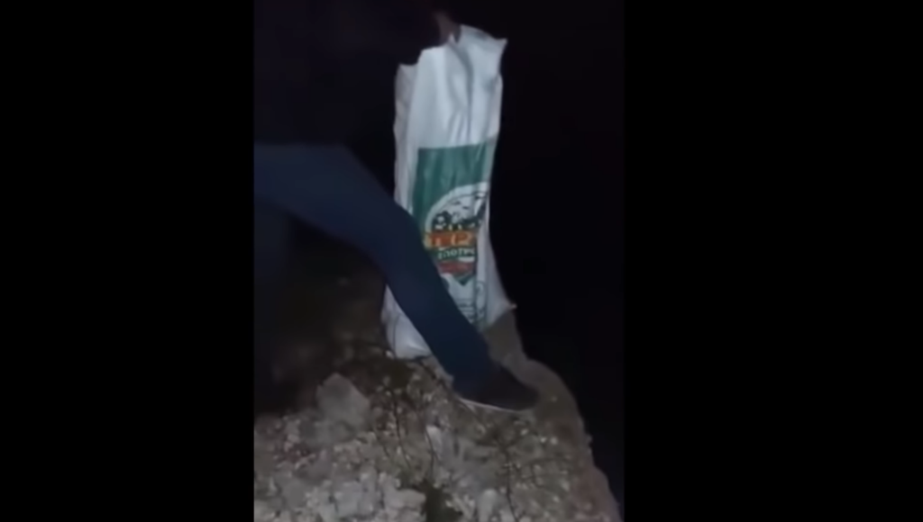 Ο πολιτισμός μας: Πέταξε σε γκρεμό 18 κουτάβια (Video) - Media