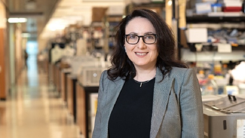 Μεγάλη διάκριση για Ελληνίδα ερευνήτρια - Πήρε διεθνές βραβείο για καινοτομία στην έρευνα της σκλήρυνση κατά πλάκας - Media