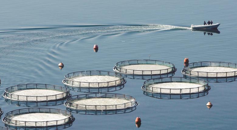 «Πράσινο φως» υπό όρους από Κομισιόν για την εξαγορά Νηρέα, Σελόντα, Ανδρομέδα - Media