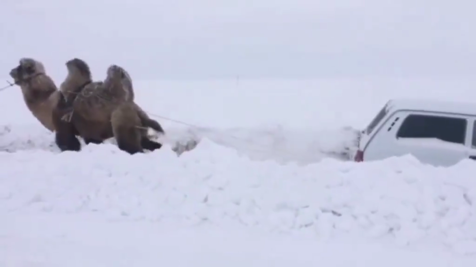Κόλλησε με το Λάντα στα χιόνια και τον έβγαλε ένα «πλοίο» της ερήμου (Video) - Media