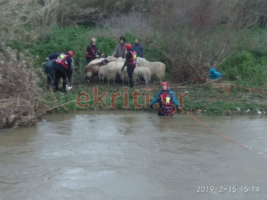 Καρέ-καρέ επιχείρηση της ΕΜΑΚ για εγκλωβισμένα ζώα σε φουσκωμένο ποταμό (Photos-Video) - Media