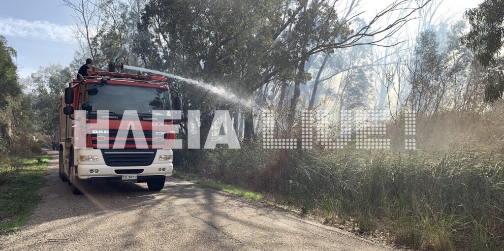 Πυρκαγιά κοντά στη λίμνη Καϊάφα - Η δεύτερη σε 24 ώρες - Media