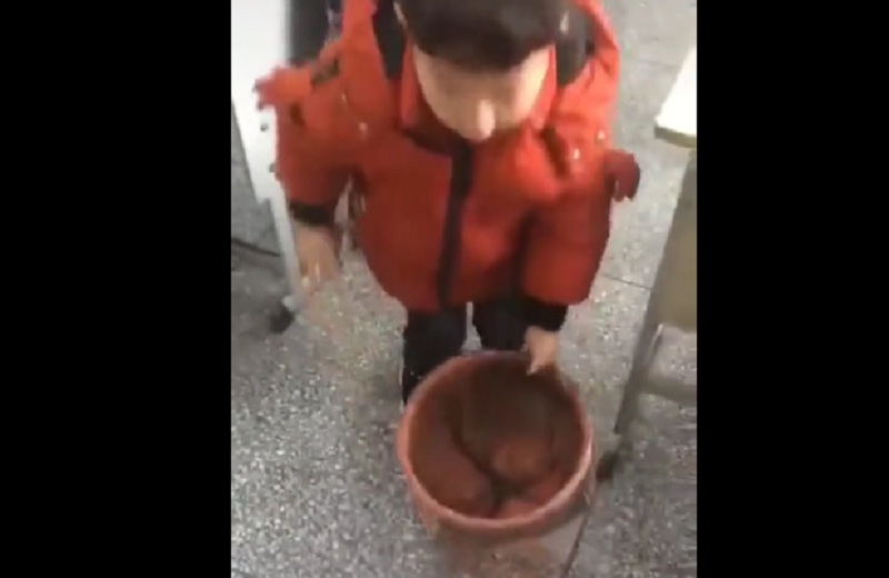 Κι όμως το κάνεις λάθος: Πώς βάζεις σακούλα στο καλάθι των σκουπιδιών (Video) - Media