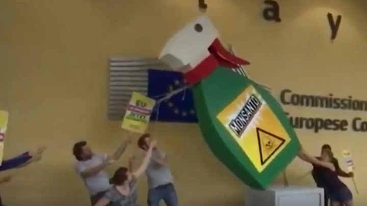 Το ζιζανιοκτόνο που σπέρνει... ζιζάνια (Video) - Media