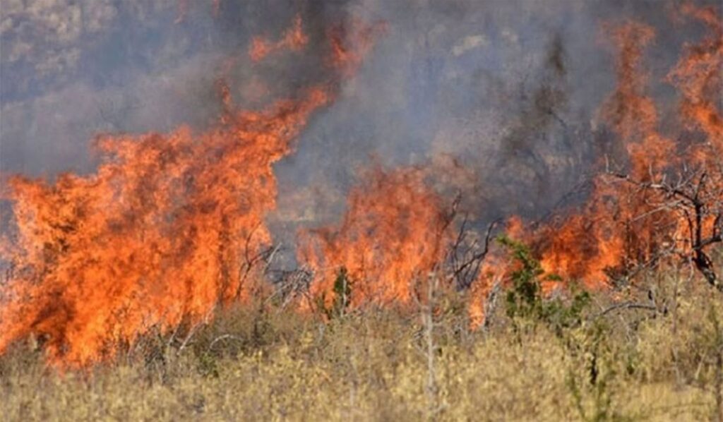 Πυρκαγιά σε ξερά χόρτα στην Εγνατία Οδό - Media