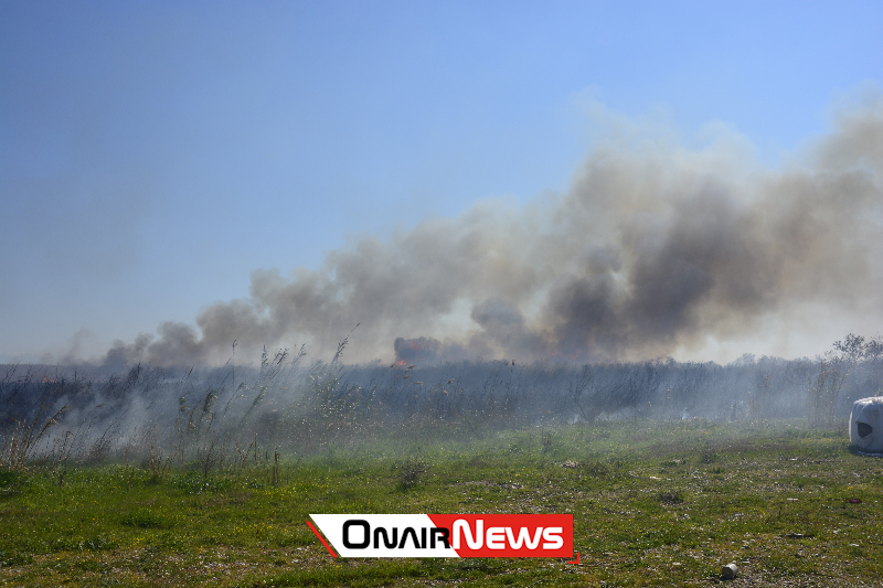 Φωτιά στο Μεσολόγγι - Καίγεται καταφύγιο πουλιών - Media