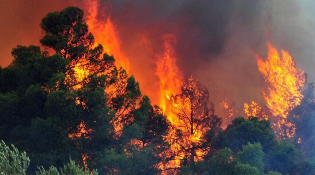 Σε εξέλιξη η πυρκαγιά στα Τρίκαλα - Βελτιωμένη εικόνα - Media