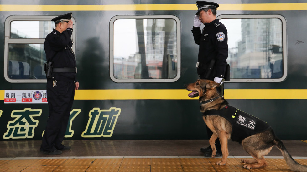 Κίνα: Κλωνοποιούν αστυνομικά σκυλιά για να γλιτώσουν την εκπαίδευση - Media