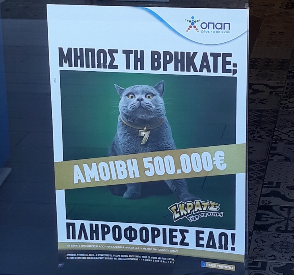 Κυνήγι σε όλη την Ελλάδα για μία γάτα με αμοιβή 500.000 ευρώ - Media