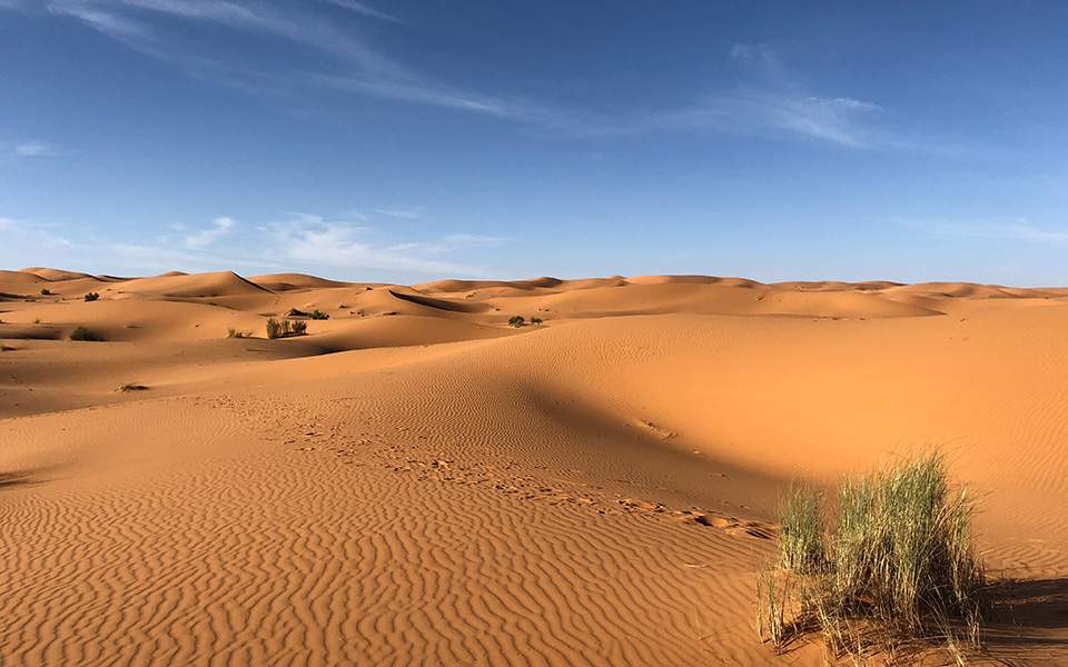 Αργεντινή: 5χρονος επέζησε 24 ώρες σε έρημο (Photos/vIDEOS - Media