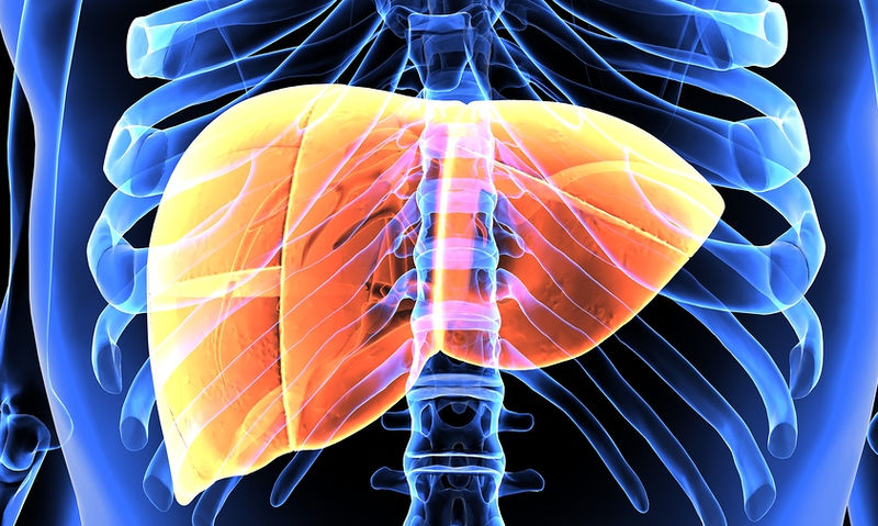 Καρκίνος του ήπατος: Αυτά είναι τα ανησυχητικά συμπτώματα - Media