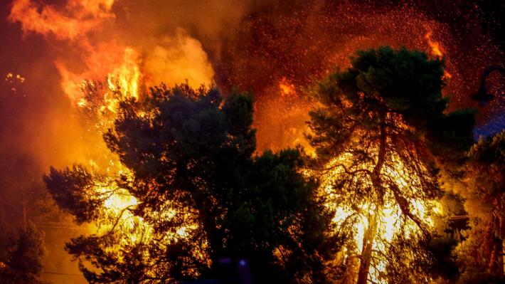 Μήνυμα του Διοικητή της πυροσβεστικής Κρήτης σε όσους επιχειρήσουν να βάλουν φωτιά: Θα είμαστε αυστηροί - Media