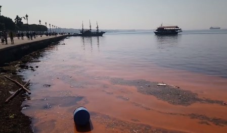 Εικόνες ντροπής στη Θεσσαλονίκη: Καφέ σκουπιδότοπος η επιφάνεια του Θερμαϊκού (Video) - Media