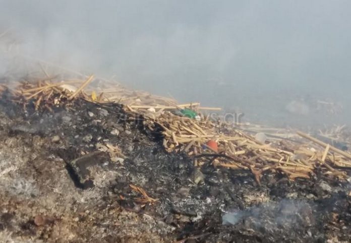 Χανιά: Σύννεφο καπνού «έπνιξε» νηπιαγωγείο - Έκαψαν τόνους σκουπιδιών πάνω στην παραλία (Photos) - Media