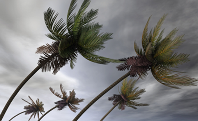 Ζιμπάμπουε: Τουλάχιστον 31 νεκροί από το πέρασμα του κυκλώνα Ιντάι - Media