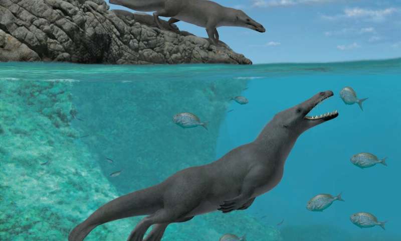 Πριν από 42,6 εκατ. χρόνια μια τετράποδη φάλαινα περπατούσε στην ξηρά και κολυμπούσε στη θάλασσα - Media