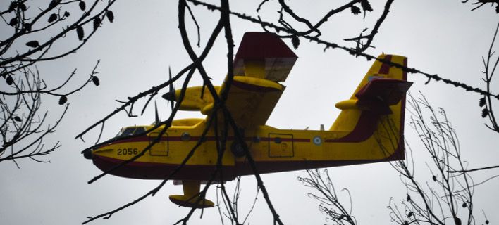 Σε ύφεση η πυρκαγιά στη Στροφυλιά - Στάχτη 2.000 στρέμματα δάσους - Media