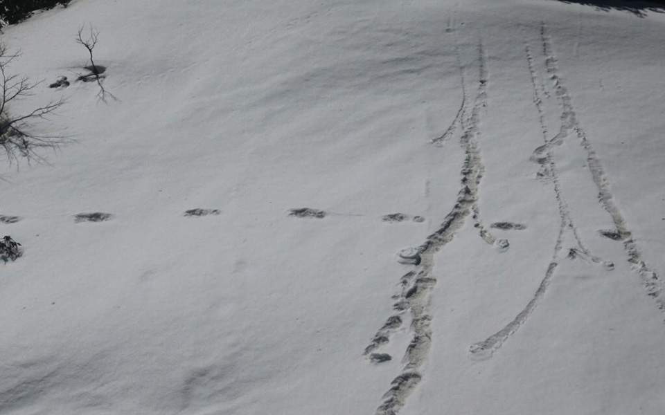 Ο στρατός της Ινδίας δημοσιοποίησε «ντοκουμέντα» από το Γέτι, τον χιονάνθρωπο των Ιμαλαΐων - Media