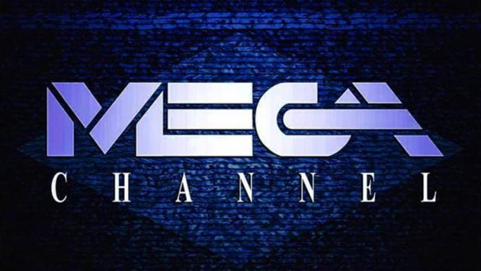 MEGA: Γιατί καθυστερεί ο πλειστηριασμός της ταινιοθήκης του σταθμού - Media