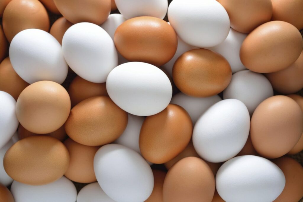 Καφέ και λευκά αυγά - Γιατί διαφέρουν, ποια είναι καλύτερα - Media