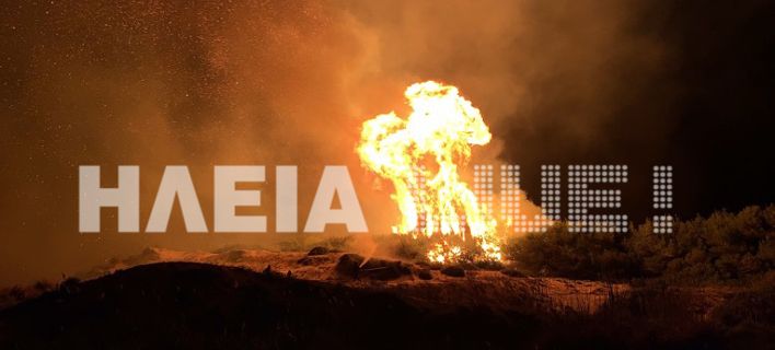 Μαίνεται η φωτιά στο δάσος της Στροφυλιάς (Photos/Video) - Media