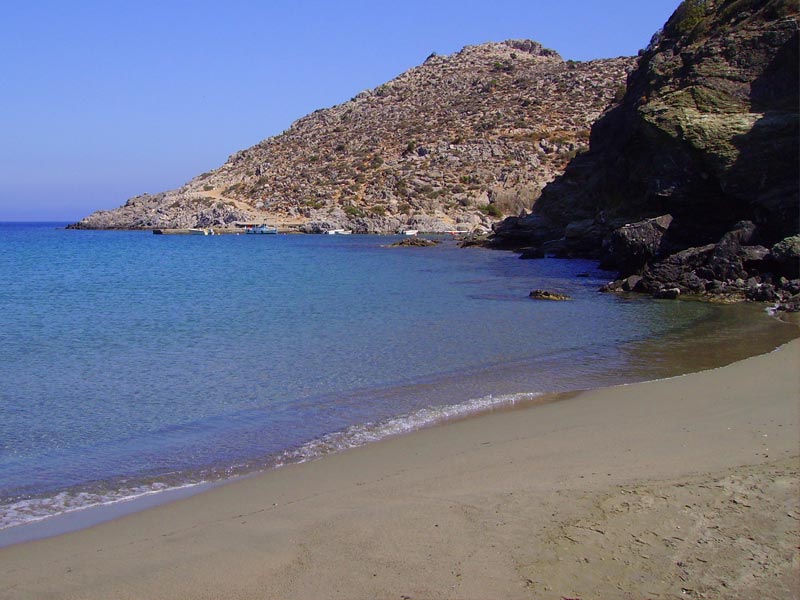 Κρήτη: Νεκρό δελφίνι «ξέβρασε» η θάλασσα σε παραλία - Media