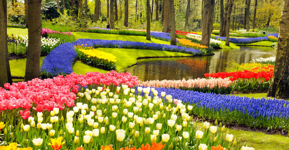 Αριθμός ρεκόρ επισκεπτών για το «Πάρκο Λουλουδιών» το Πάσχα (Photos) - Media