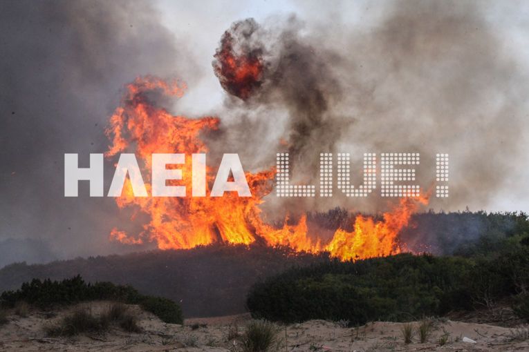 Πόνος και οργή για τη φωτιά στον υγροβιότοπο της Στροφυλιάς - Κινδύνευε το Καλοκαίρι, κάηκε Άνοιξη (Photos) - Media Gallery 11
